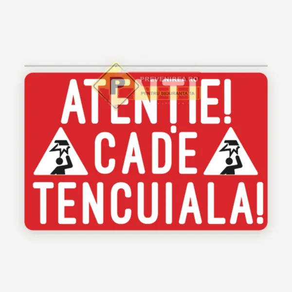 Indicator Atenție Cade Tencuiala” pentru Zone cu Risc