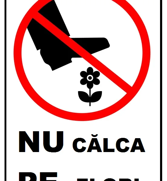 Placuta nu calca pe flori