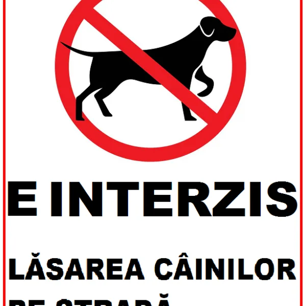 Placuta e interzis lasarea cainilor pe strada