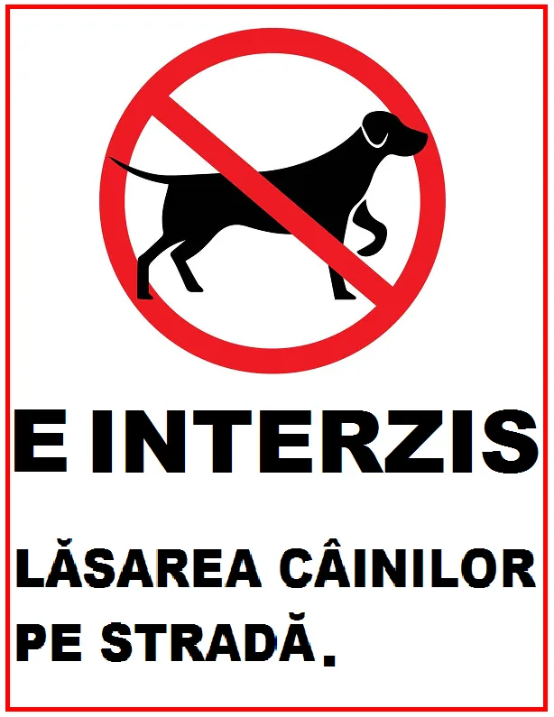 Placuta e interzis lasarea cainilor pe strada