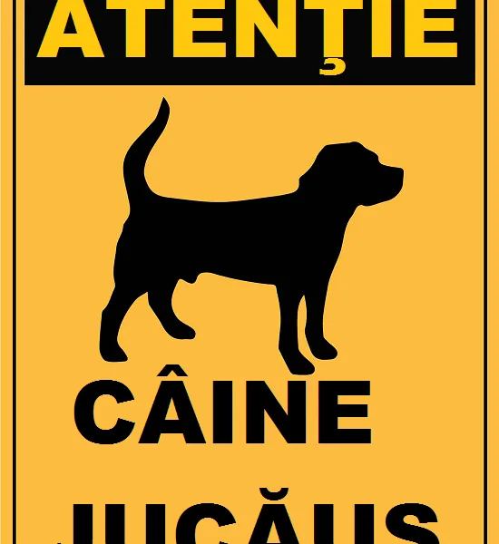 Placuta atentie caine jucausi