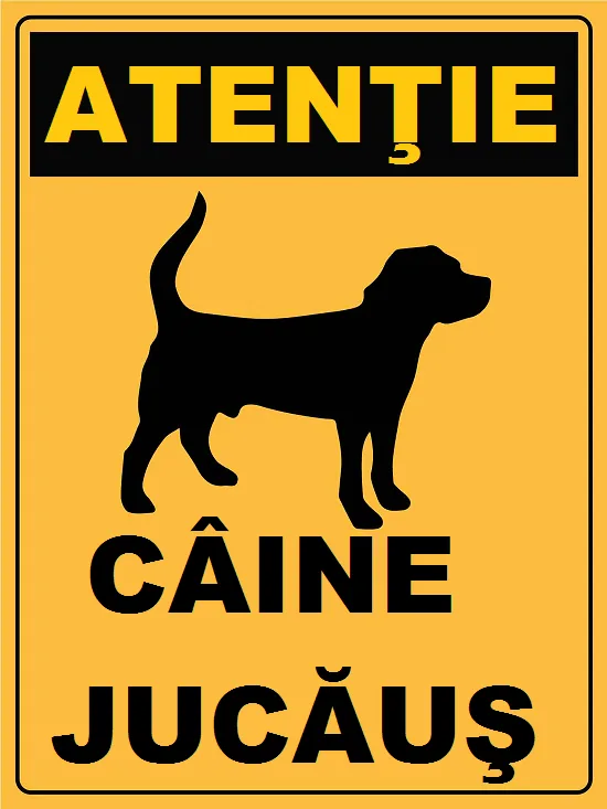 Placuta atentie caine jucausi