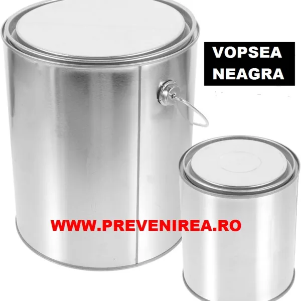 Vopsea pentru asfalt si beton neagra