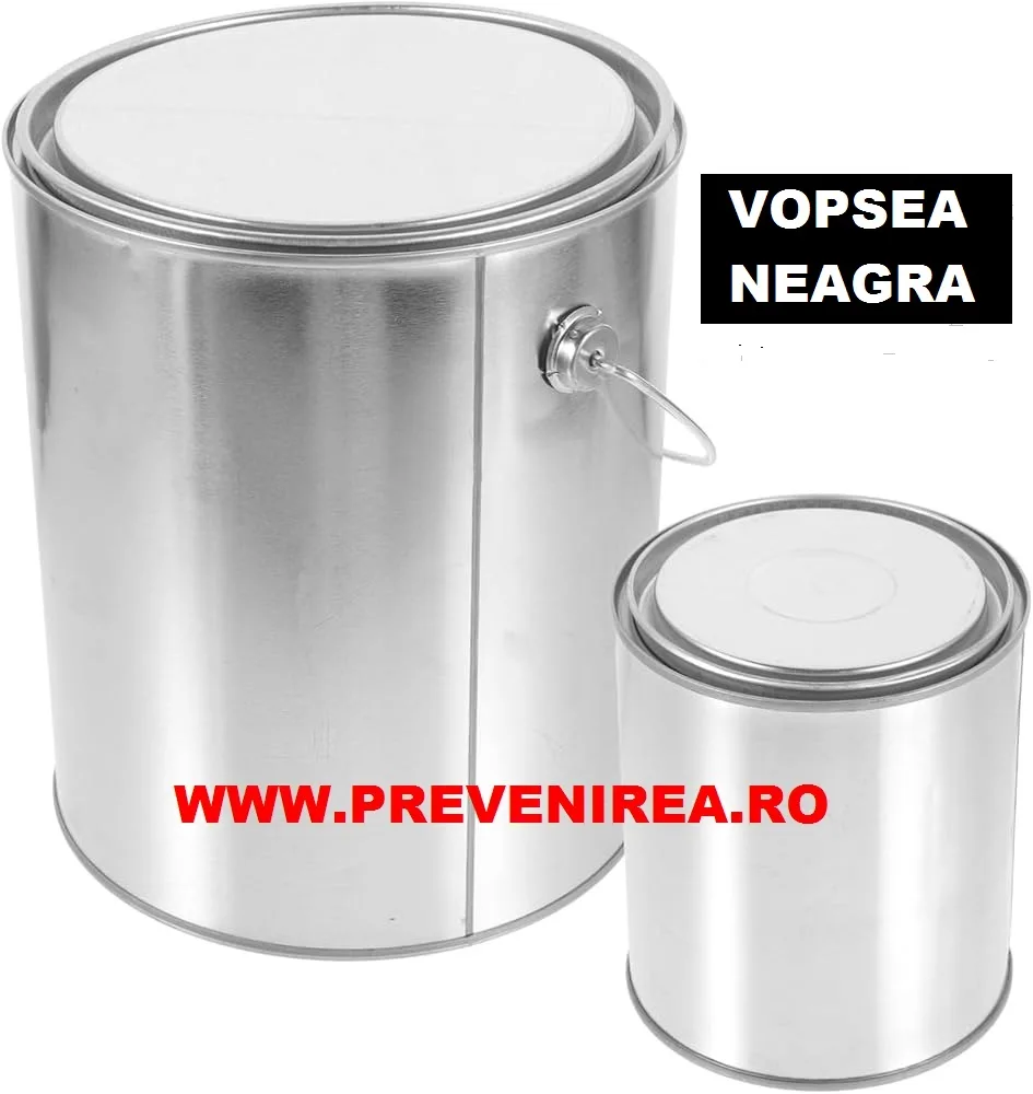Vopsea pentru asfalt si beton neagra