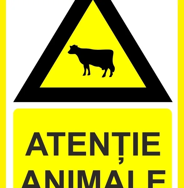Placuta atentie animale