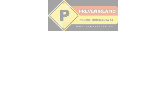 Paleta pentru lucrari trafic