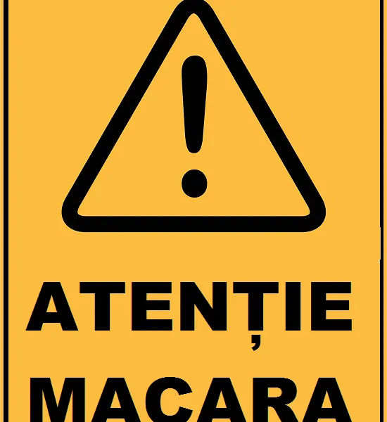 Placuta atentie macara