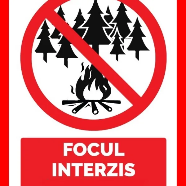 Placuta focul interzis supraveghere video