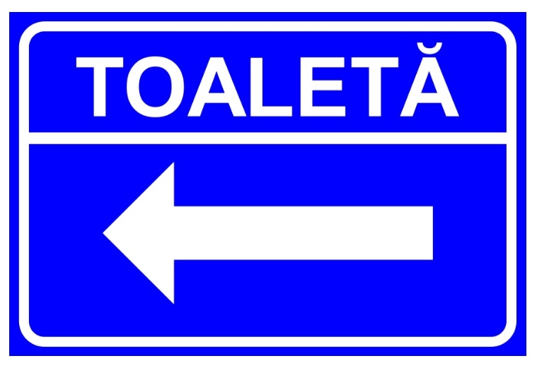 Toaleta in stanga