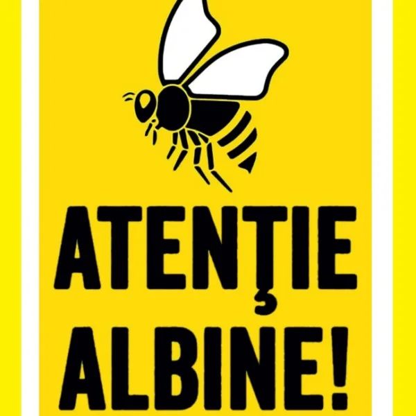 Placute atentie albine
