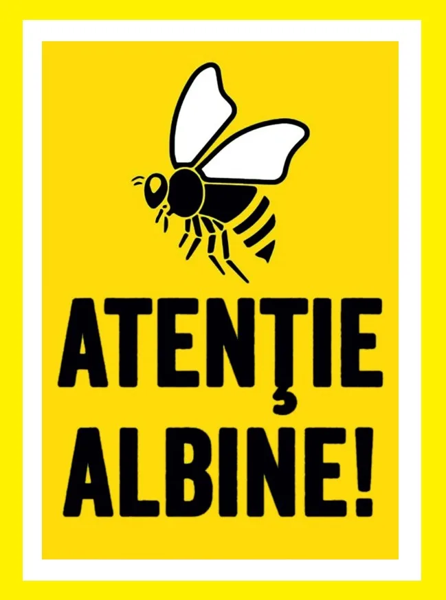 Placute atentie albine