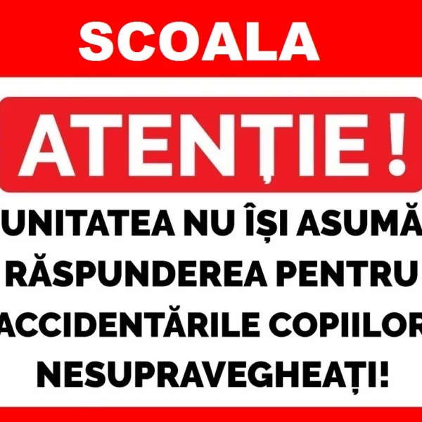 Placute pentru scoala