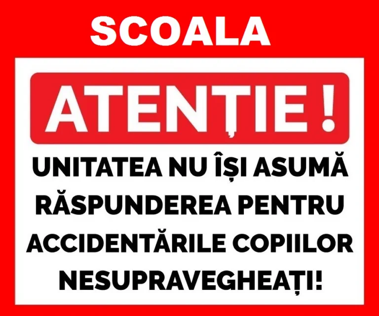 Placute pentru scoala