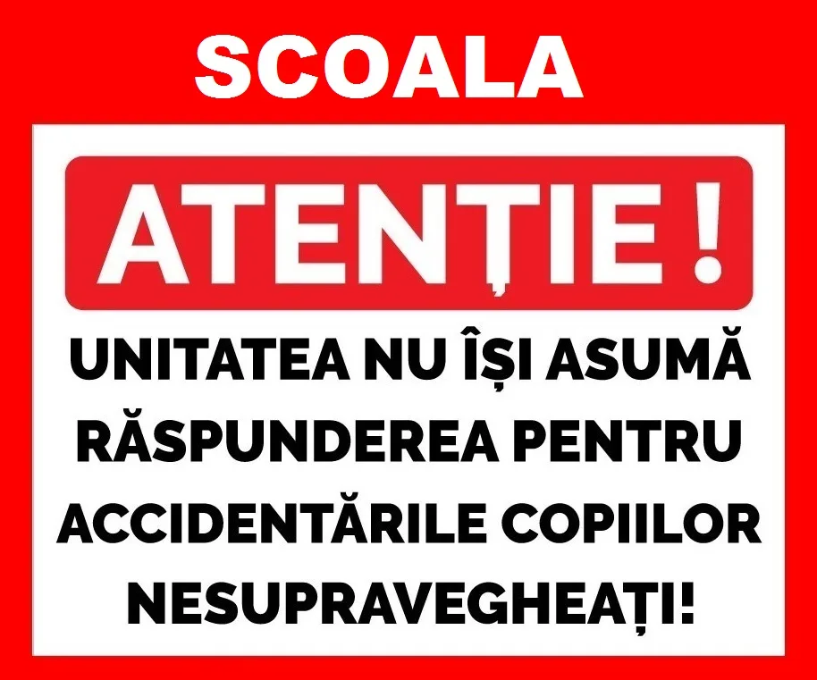 Placute pentru scoala