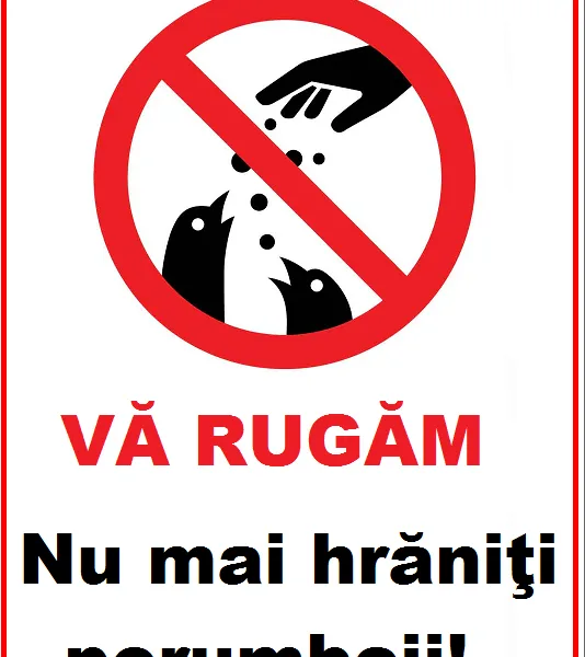 placuta nu mai hraniti porumbeii