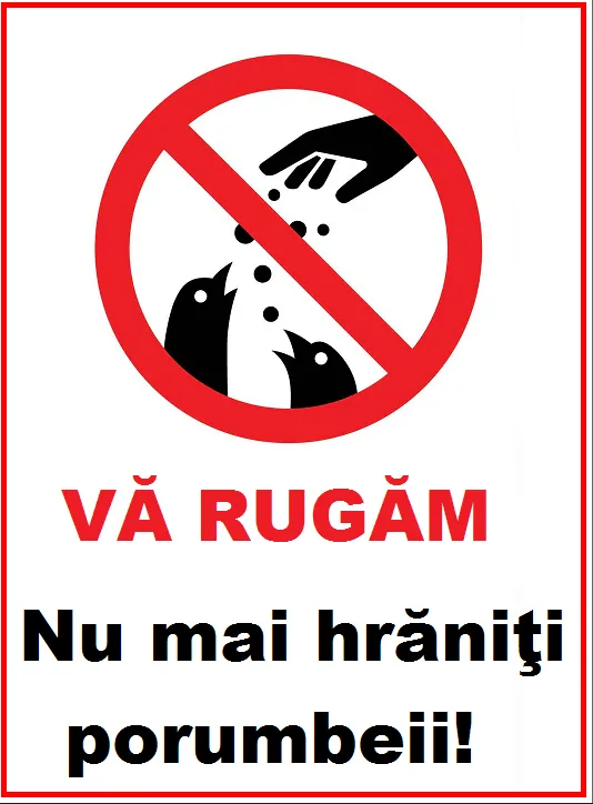 placuta nu mai hraniti porumbeii
