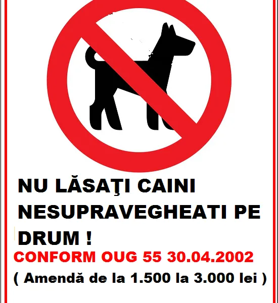 Placuta nu lasati caini nesupravegheati pe drum