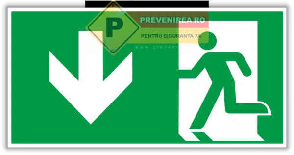 Etichetă de Evacuare Profesională pentru Ieșirea Principală - Rezistentă și Ușor de Instalată