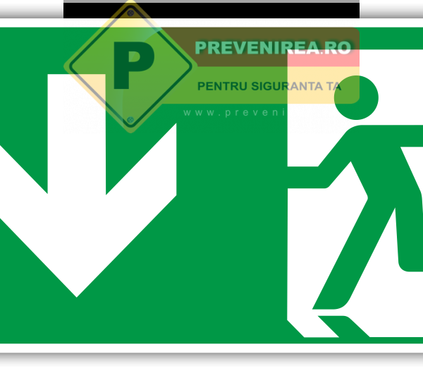 Etichetă de Evacuare Profesională pentru Ieșirea Principală - Rezistentă și Ușor de Instalată