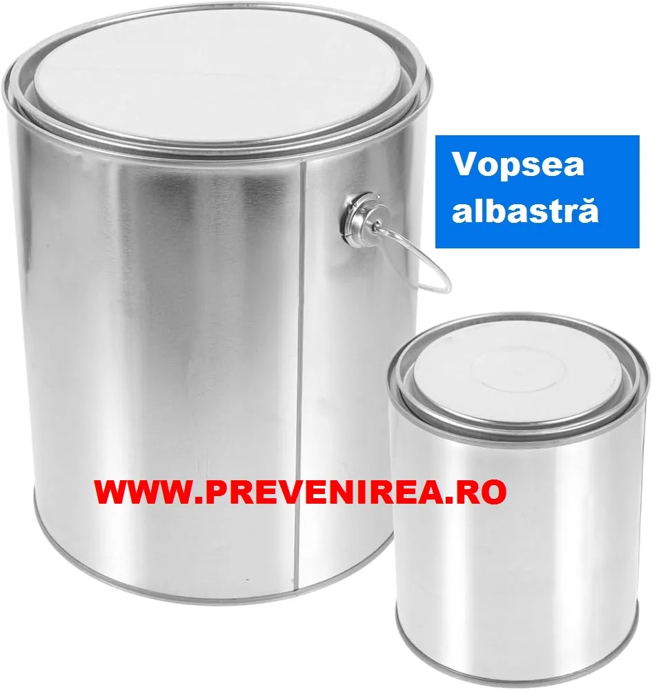 Vopsea pentru asfalt si beton albastra