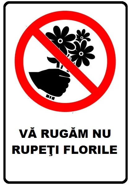 Placuta va rugam nu rupeti florile