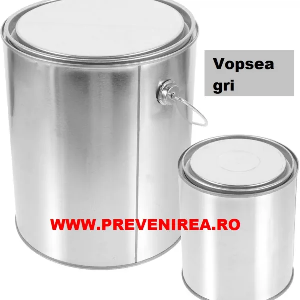 Vopsea pentru asfalt si beton GRI