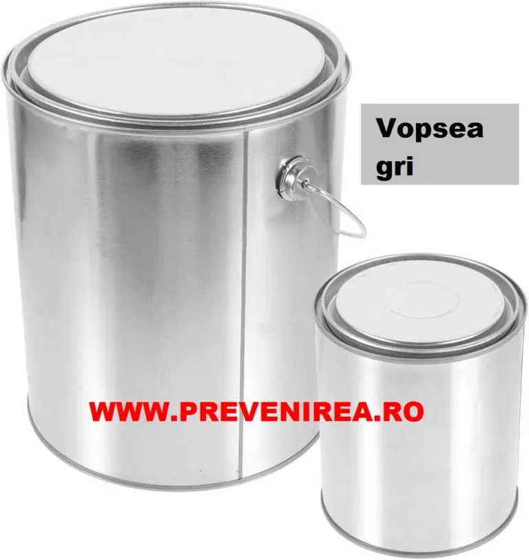 Vopsea pentru asfalt si beton GRI