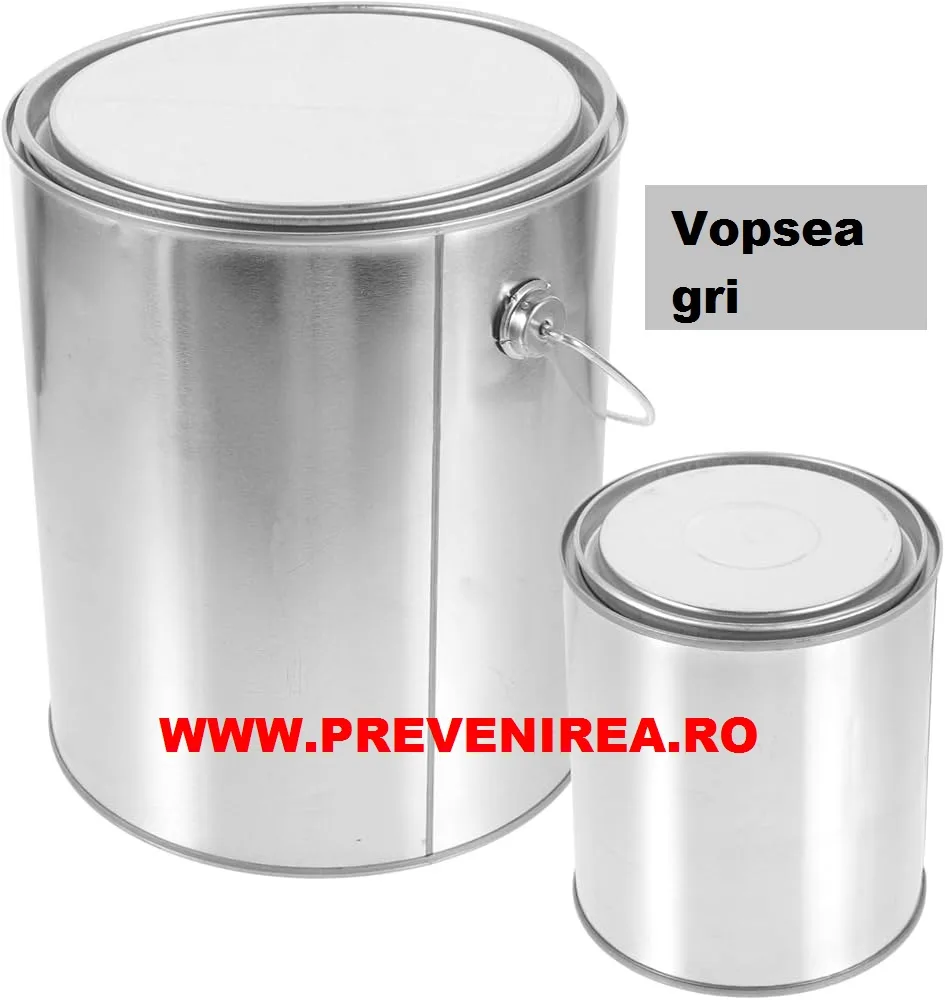 Vopsea pentru asfalt si beton GRI