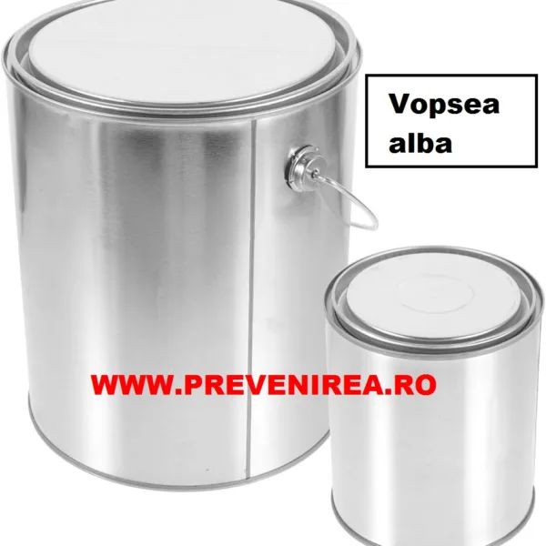 Vopsea pentru asfalt si beton alba