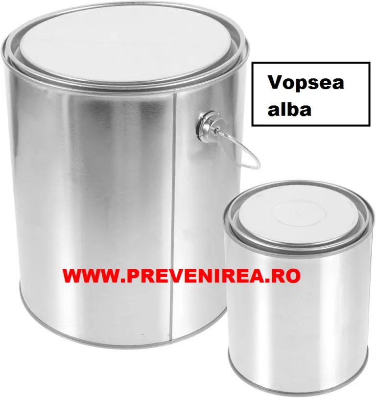 Vopsea pentru asfalt si beton alba