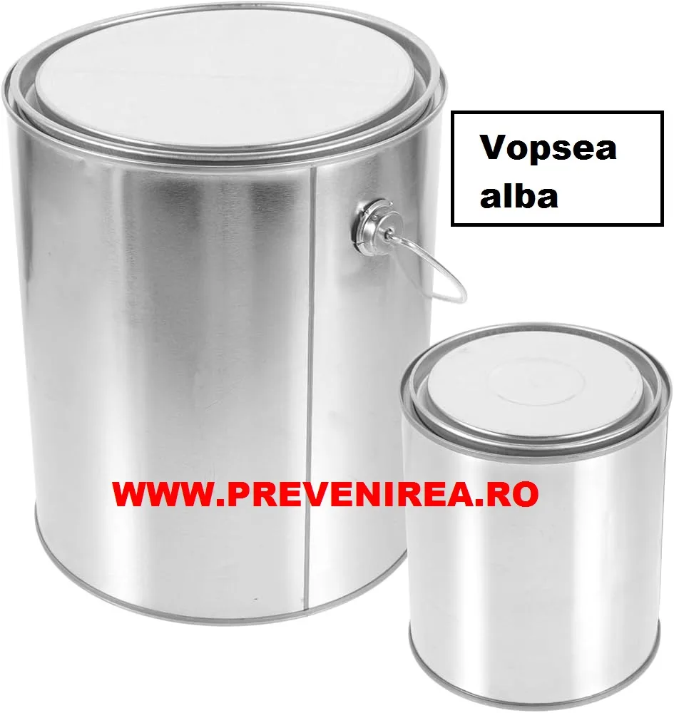 Vopsea pentru asfalt si beton alba