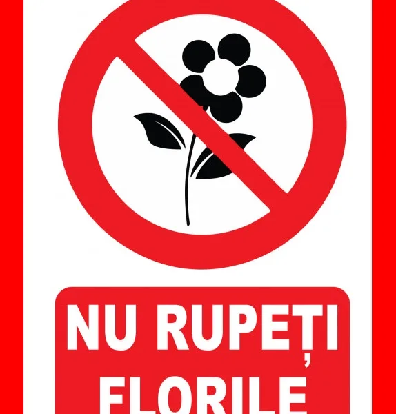 Placuta nu rupeti florile