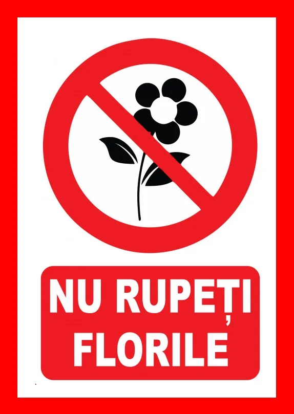 Placuta nu rupeti florile
