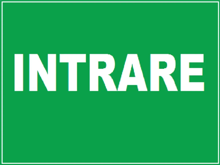 Placuta de siguranta pentru intrare