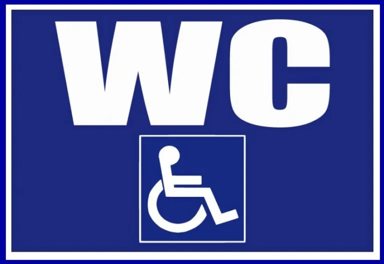Placuta wc pentru persoana cu handicap