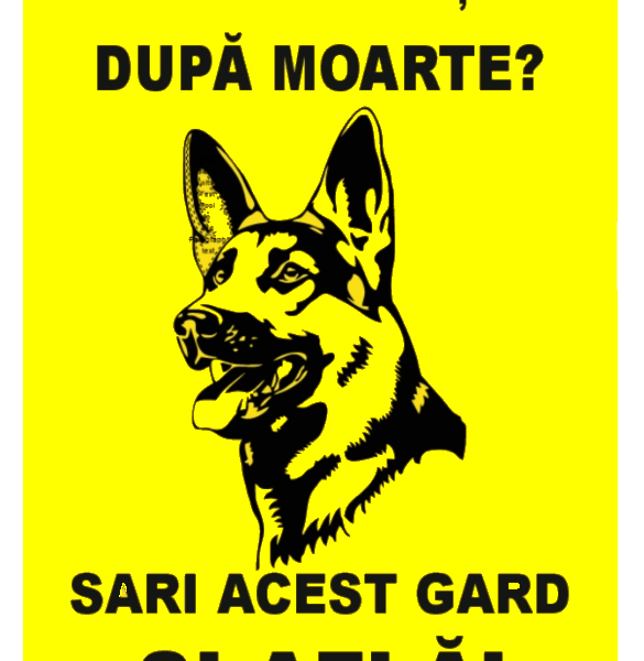 Semn exista viata dupa moarte sari acest gard si afla
