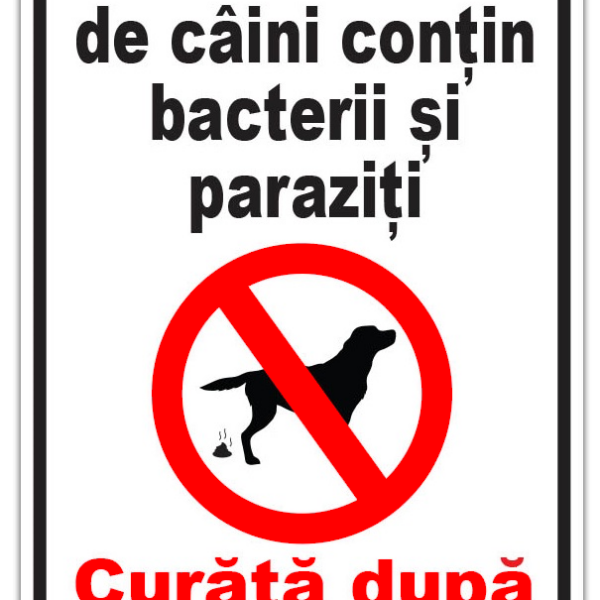 Semn excrementele de caini contin bacterii si paraziti curata dupa cainele tau