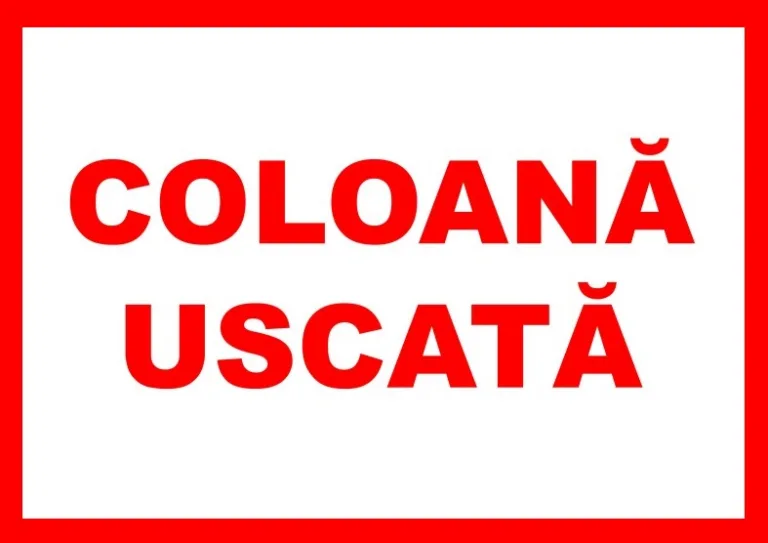 Placuta pentru coloana uscata