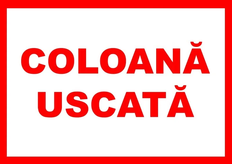 Placuta pentru coloana uscata