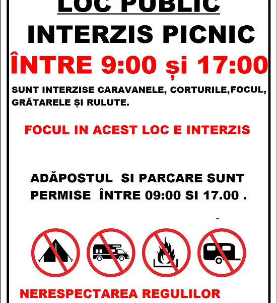 Placuta pentru loc public interzis picnic