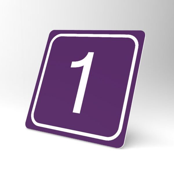 Placuta violet 1