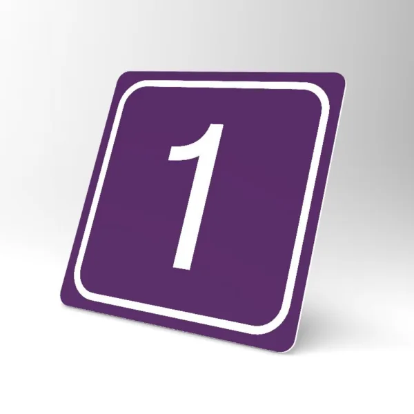 Placuta violet 1