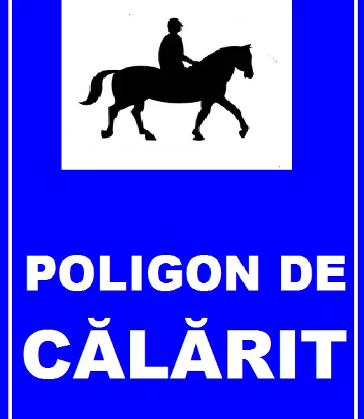 Placuta pentru poligon de calarit
